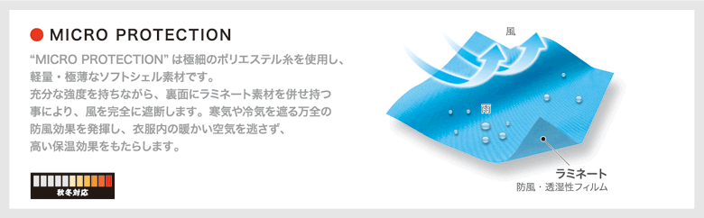 マイクロプロテクション